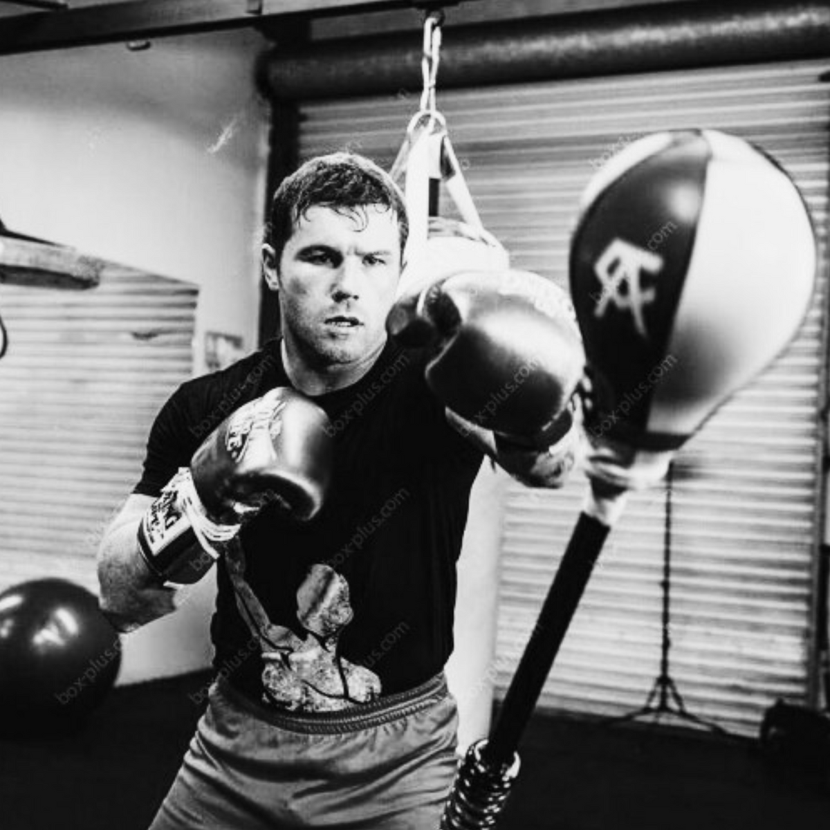 FIERCE REFLEX - Train Like a Champion – FIERCEREFLEX